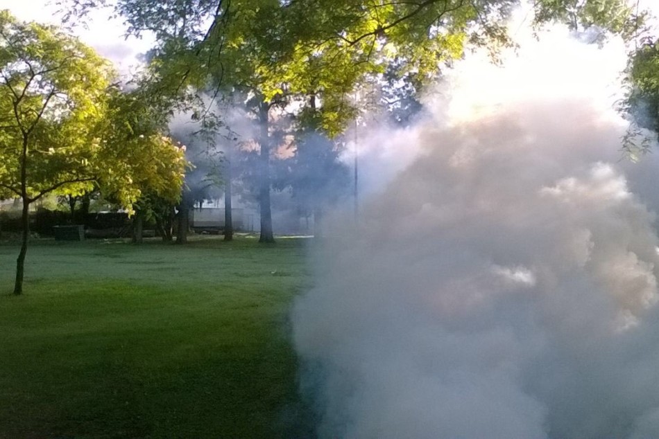 70091 | Se intensifica la fumigación en diferentes zonas de la ciudad tras las intensas lluvias - Secretaría de Ambiente y Espacio Público