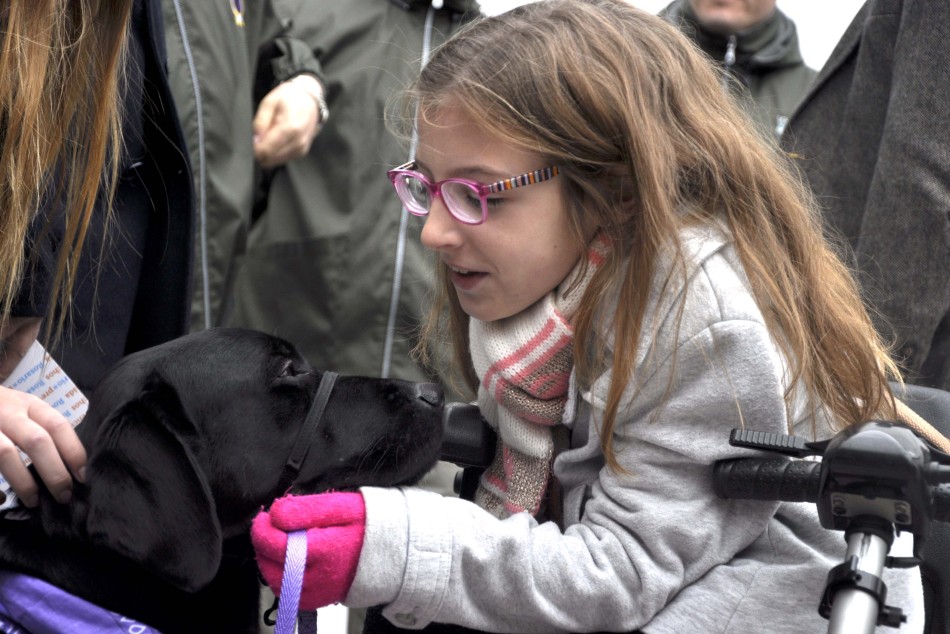 153404 | Discapacidad e integración: se entregó el primer carnet de identificación a un perro de asistenci - Chiara Cucurullo