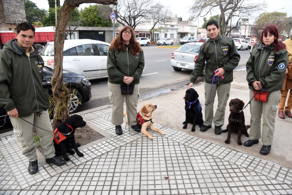 153403 | Discapacidad e integración: se entregó el primer carnet de identificación a un perro de asistenci - Subsecretaría de Comunicación Social (Silvio Moriconi)