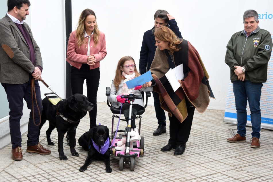 153401 | Discapacidad e integración: se entregó el primer carnet de identificación a un perro de asistenci - Subsecretaría de Comunicación Social (Silvio Moriconi)