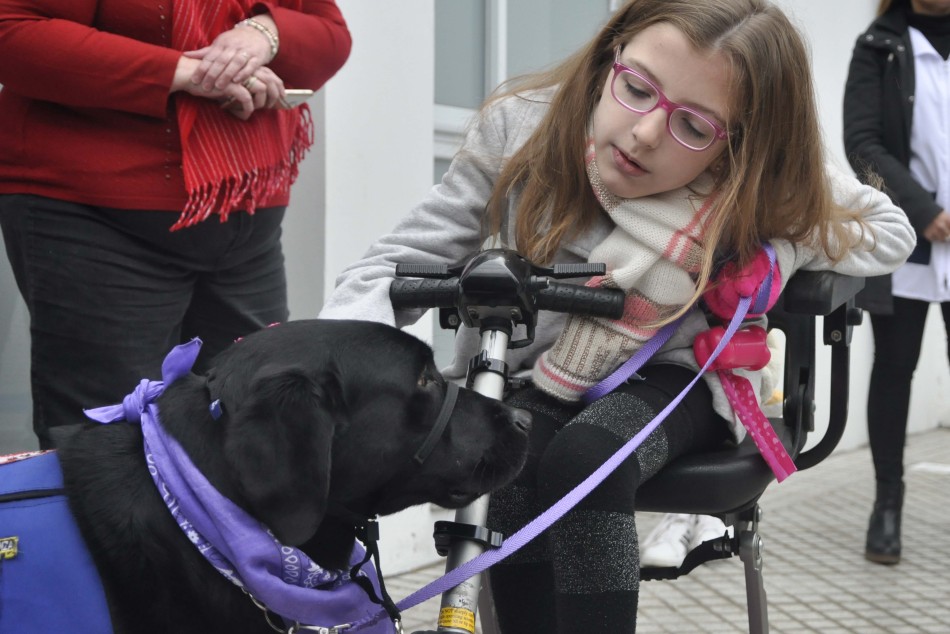 153405 | Discapacidad e integración: se entregó el primer carnet de identificación a un perro de asistenci - Chiara Cucurullo