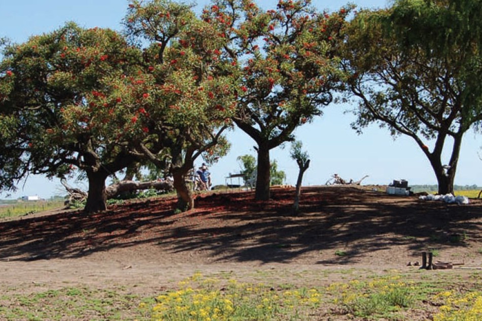 179515 | Reserva Municipal en las islas «Los Tres Cerros» -