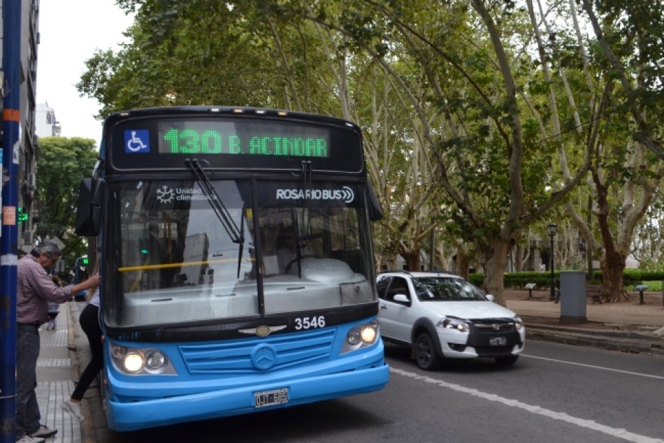 206747 |  - Careli Vivas