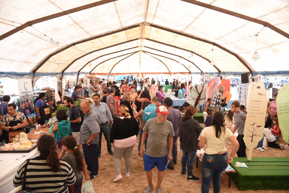 244377 | Mercado social - Subsecretaría de Comunicación Social (Silvio Moriconi)