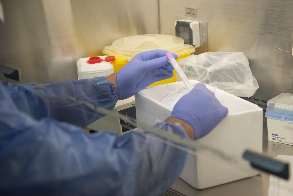 252948 | Coronavirus Laboratorio CEMAR  - Sec. de Salud Pública (Guillermo Fernández)