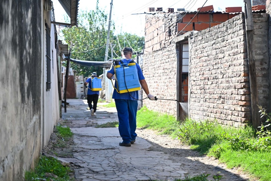 255426 | El municipio refuerza acciones para combatir al dengue - Municipalidad de Rosario