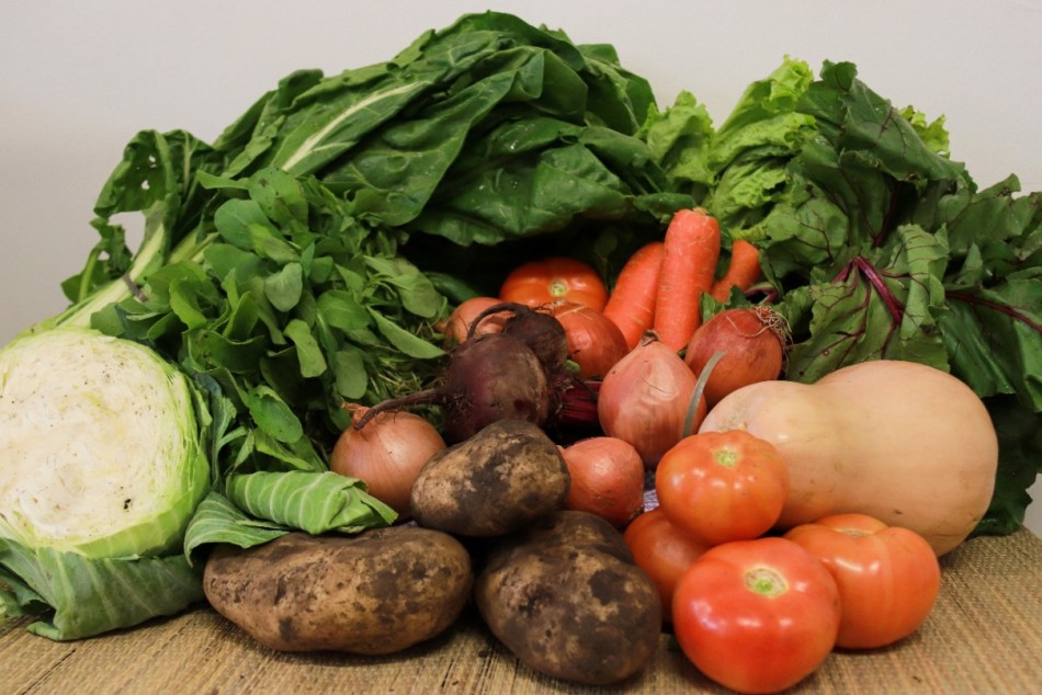 259471 | Mercado Social se suma a la vidriera virtual Ferias Verdes Rosario - Secretaría de Desarrollo Humano y Hábitat