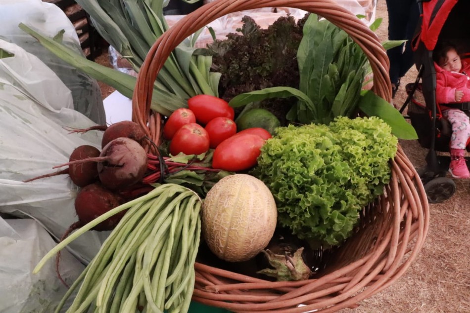 259474 | Mercado Social se suma a la vidriera virtual Ferias Verdes Rosario - Secretaría de Desarrollo Humano y Hábitat