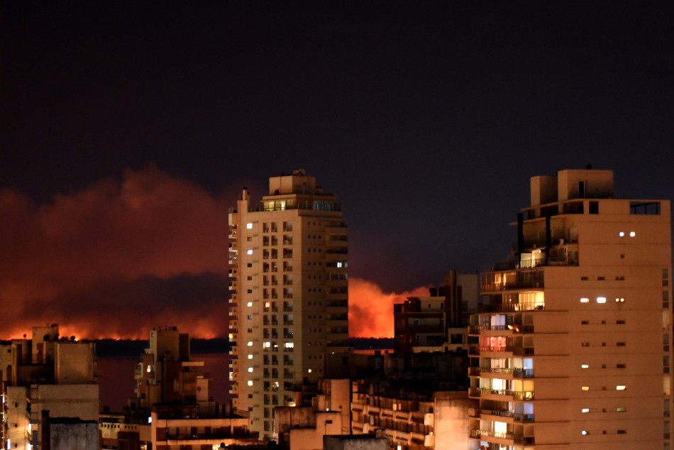 268361 | Incendio en las islas - Subsecretaría de Comunicación Social (Silvio Moriconi)
