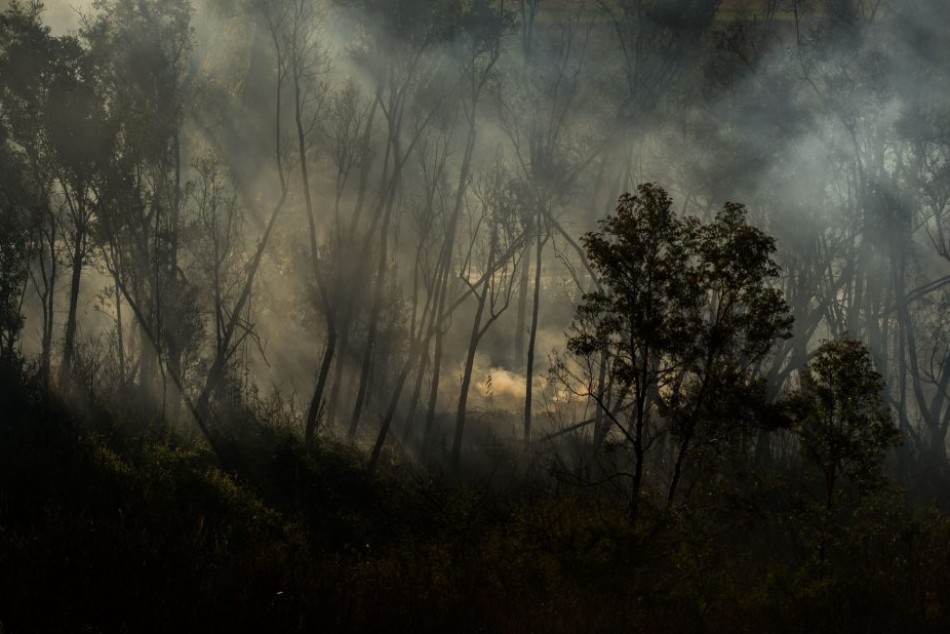 272986 | Fuego en el humedal. Islas de Entre Ríos frente a Rosario - Eduardo Bodiño