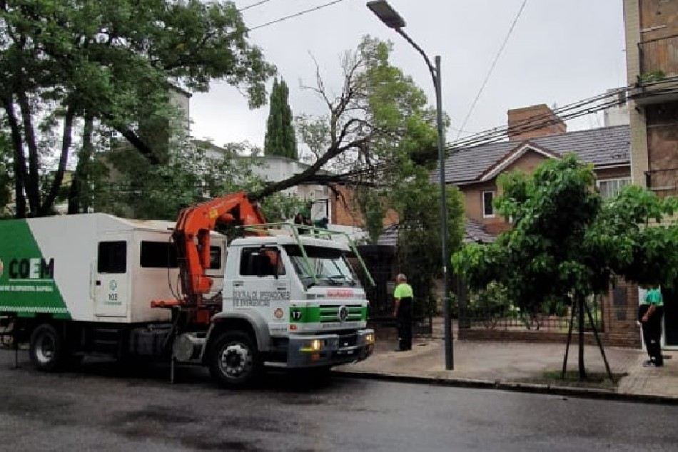 296479 | Retiro de árbol sobre vivienda -