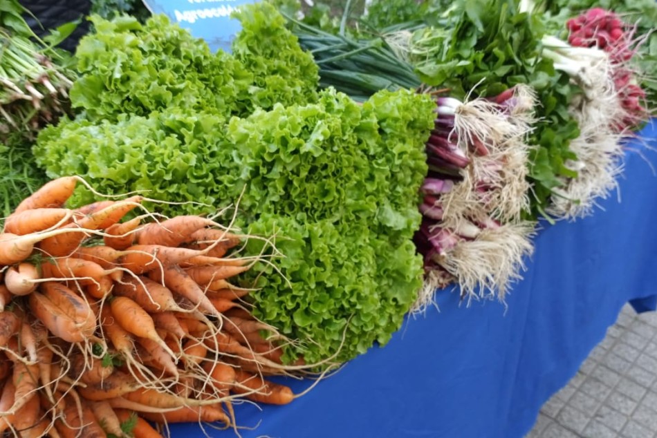 308527 | Rosario se suma al Plan Federal de Ferias - Secretaría de Desarrollo Humano y Hábitat