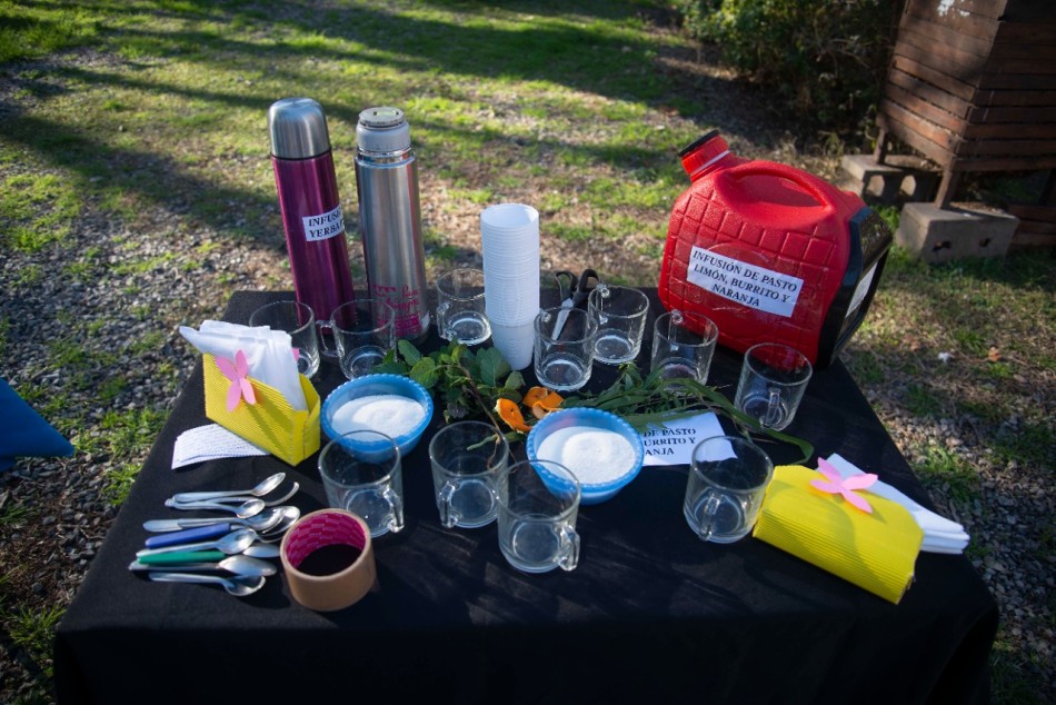 316859 |  - Secretaría de Salud Pública