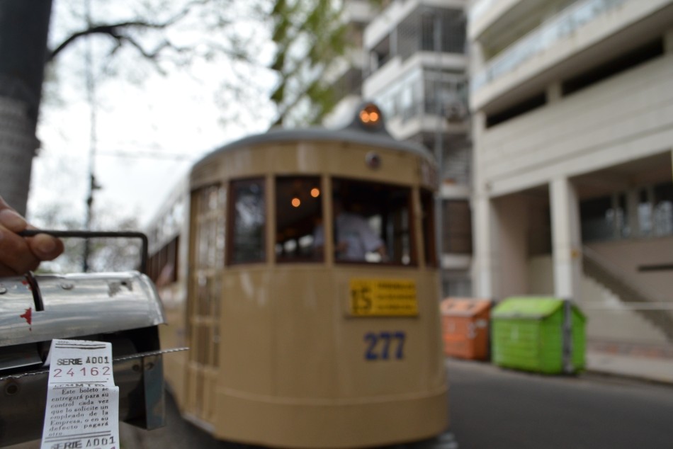 336886 |  - Careli Vivas