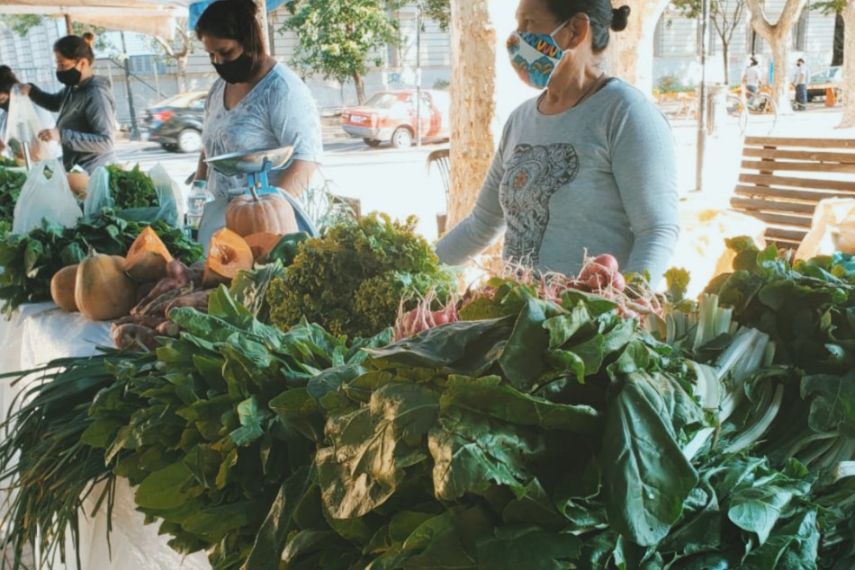 343787 |  - Secretaría de Desarrollo Humano y Hábitat