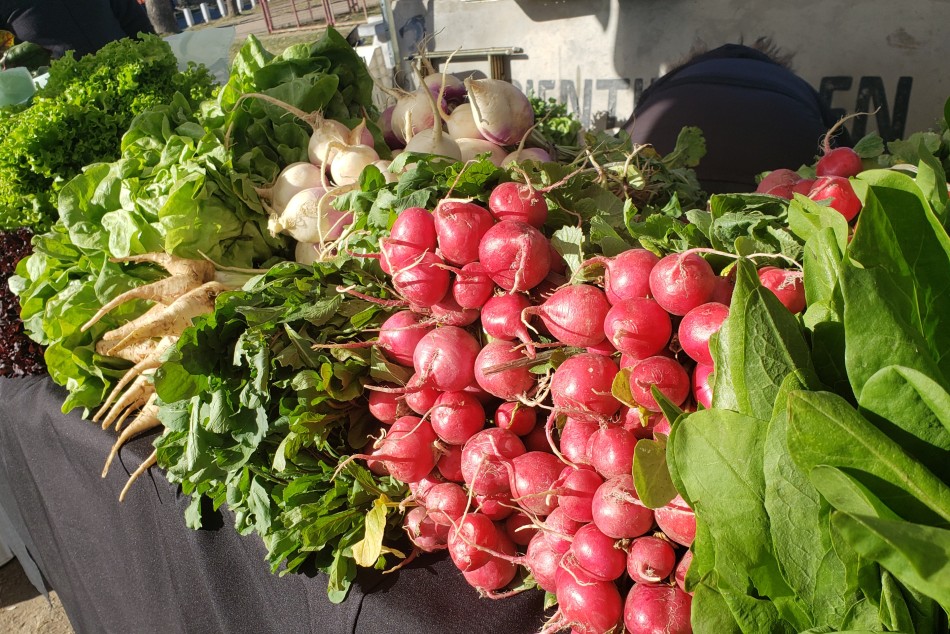 343788 |  - Secretaría de Desarrollo Humano y Hábitat