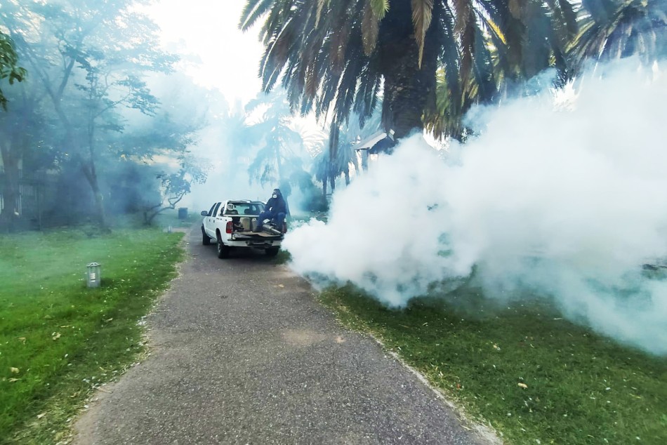 361658 | El municipio realizará un nuevo operativo de fumigación en espacios verdes - Municipalidad de Rosario (archivo)