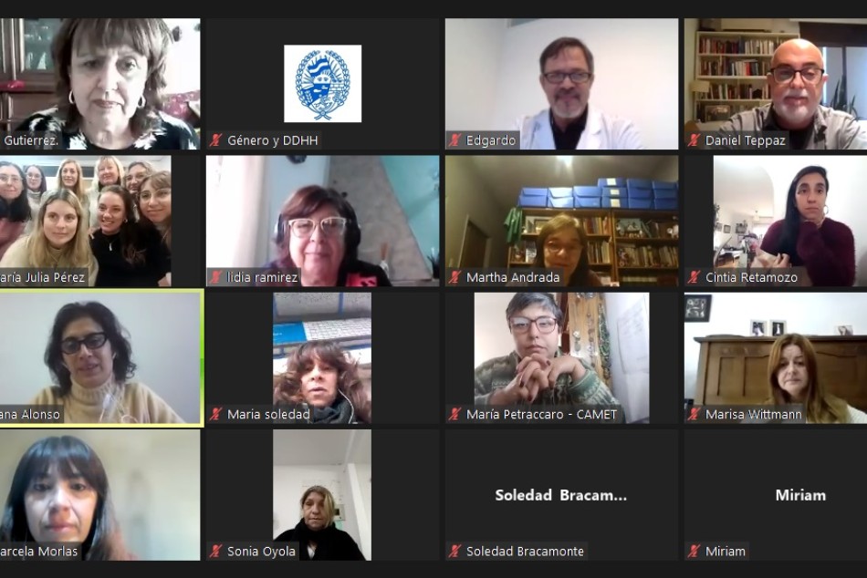 362287 | Conversatorio online sobre violencia obstétrica - Captura de pantalla