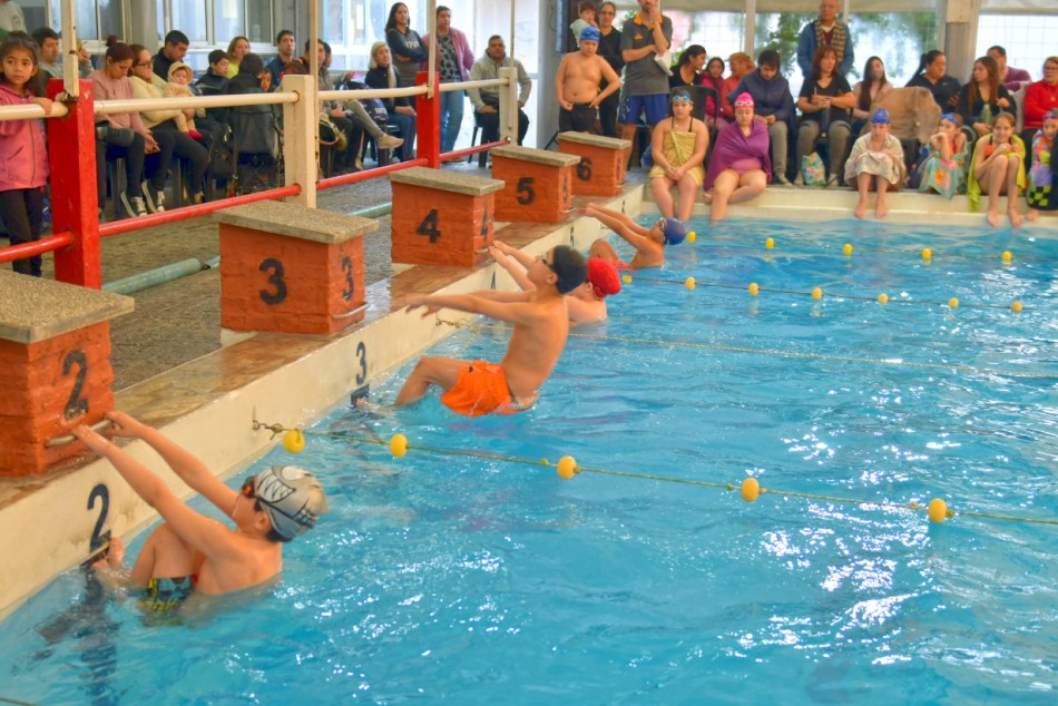 378343 | Chicas y chicos nadaron sobre una distancia de 25 metros y se llevaron un diploma de reconocimiento - Mariela Aronna - Secretaría de Deporte y Turismo