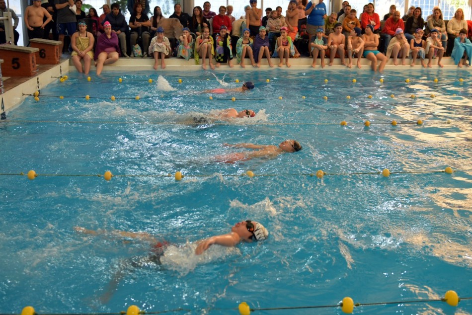 378344 | Chicas y chicos nadaron sobre una distancia de 25 metros y se llevaron un diploma de reconocimiento - Mariela Aronna - Secretaría de Deporte y Turismo