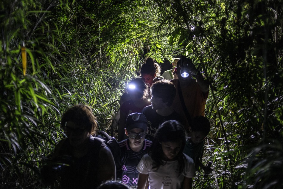 470715 | Una noche con Museo Castagnino + Jardín explorado + Jardín de los Niños - Sec. de Cultura y Educación (Guillermo Turin Bootello)