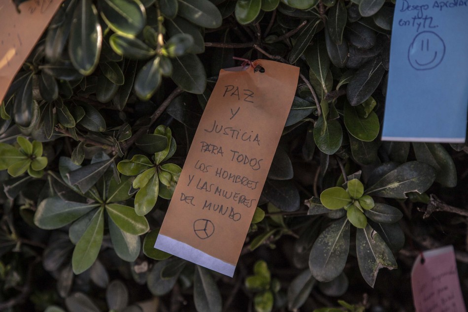 503807 | El plan de las estrellas en CAM - Sec. de Cultura y Educación (Guillermo Turin Bootello)