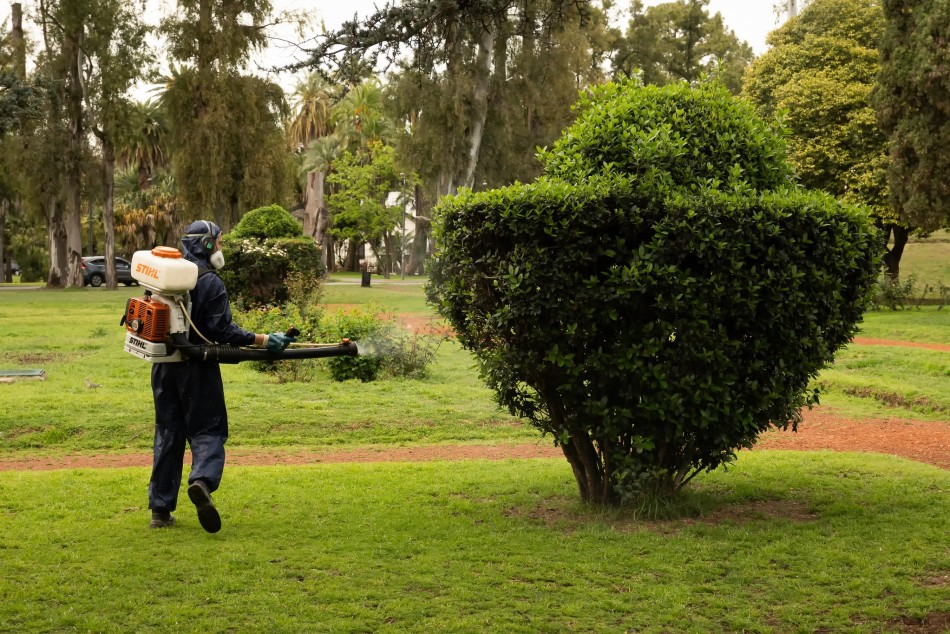 613185 | El municipio realiza operativos de fumigación en plazas y espacios verdes  - Secretaría de Ambiente y Espacio Público (Juan Pablo Allegue)