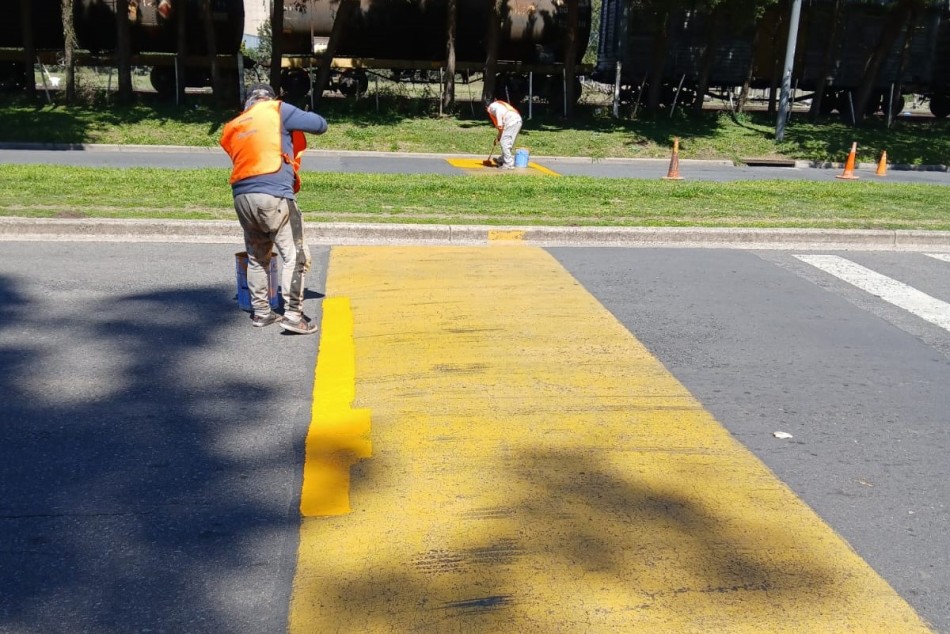 613566 | Pintura de sendas peatonales y líneas de frenado - Secretaría de Ambiente y Espacio Público